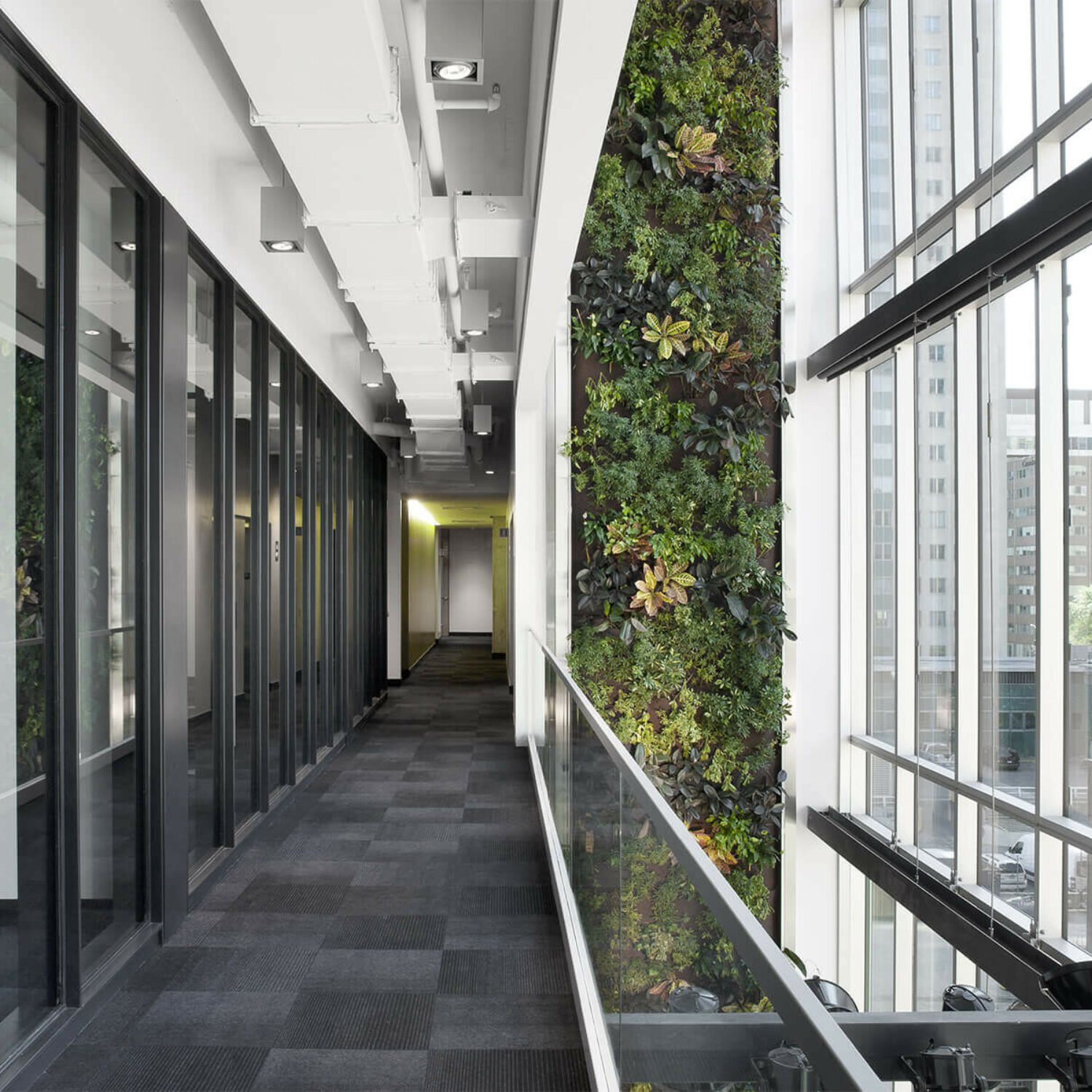 Faire de Montréal la métropole de l’économie verte et sociale