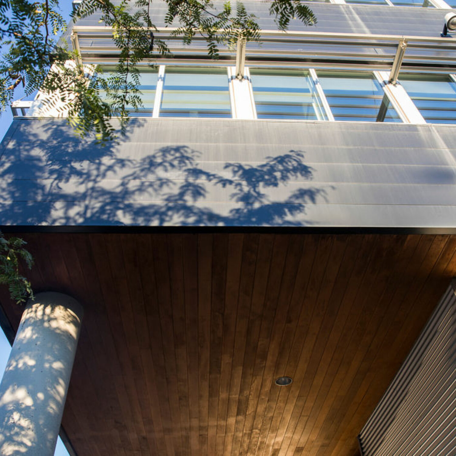 Angus2018c Frédérique Ménard Aubin 2 2