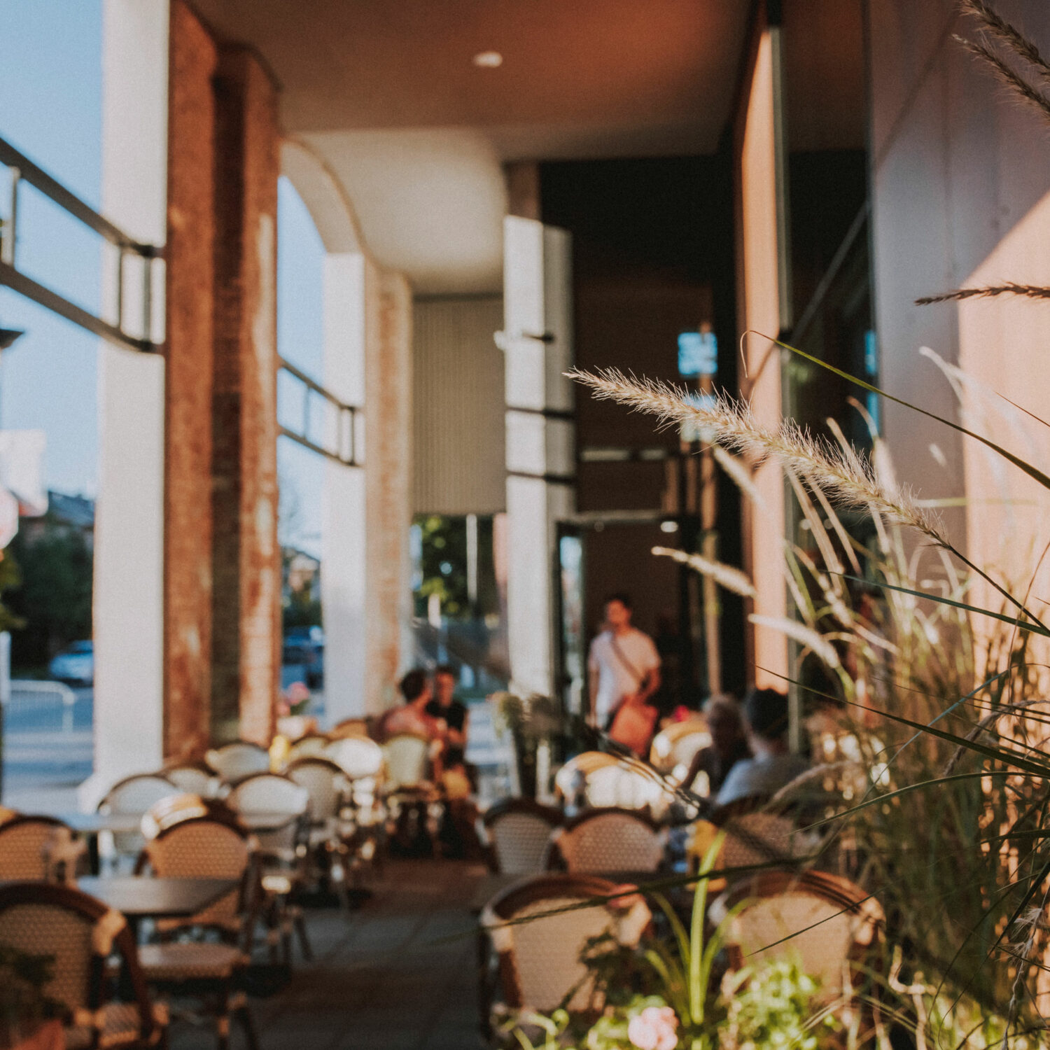 Angus2018c Frédérique Ménard Aubin 805