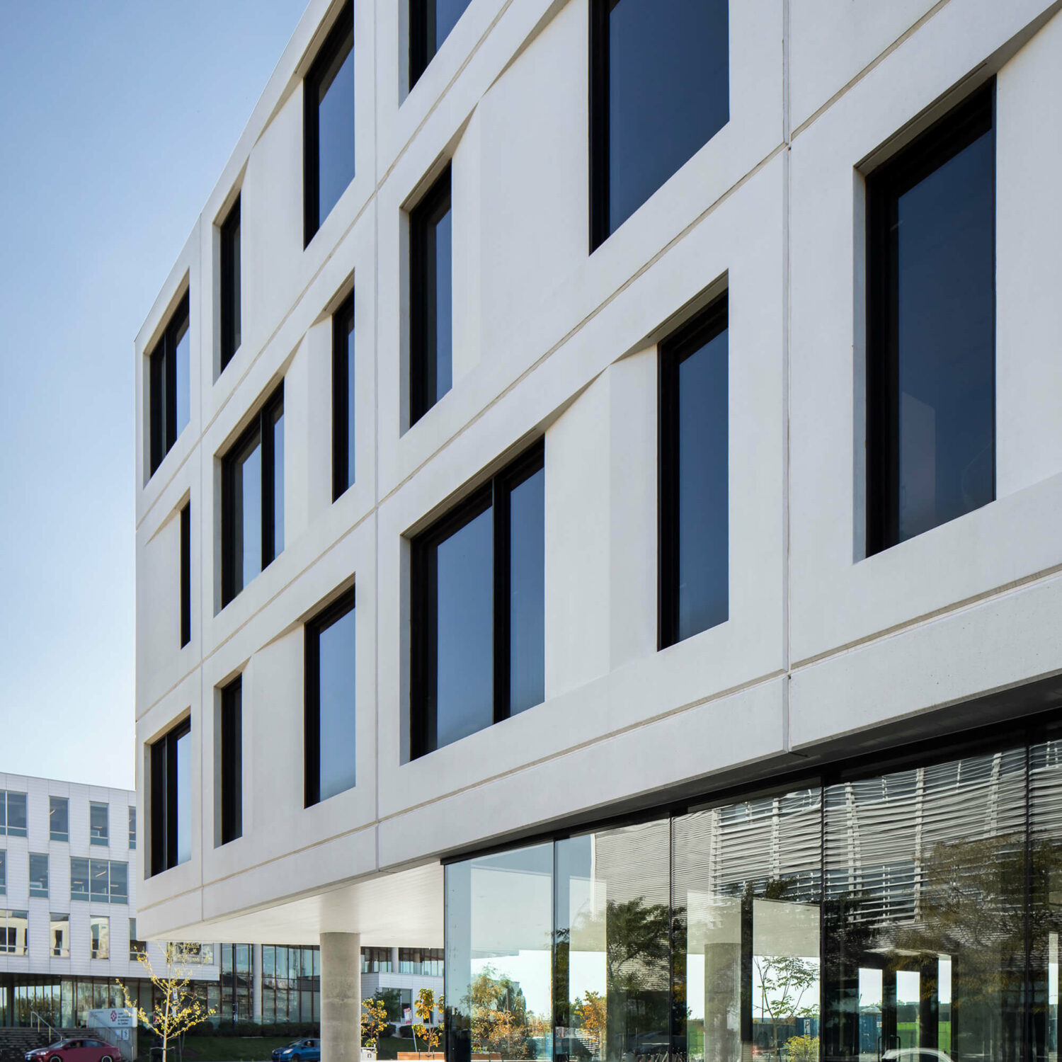 PR CLINIQUE ANGUS SB 006