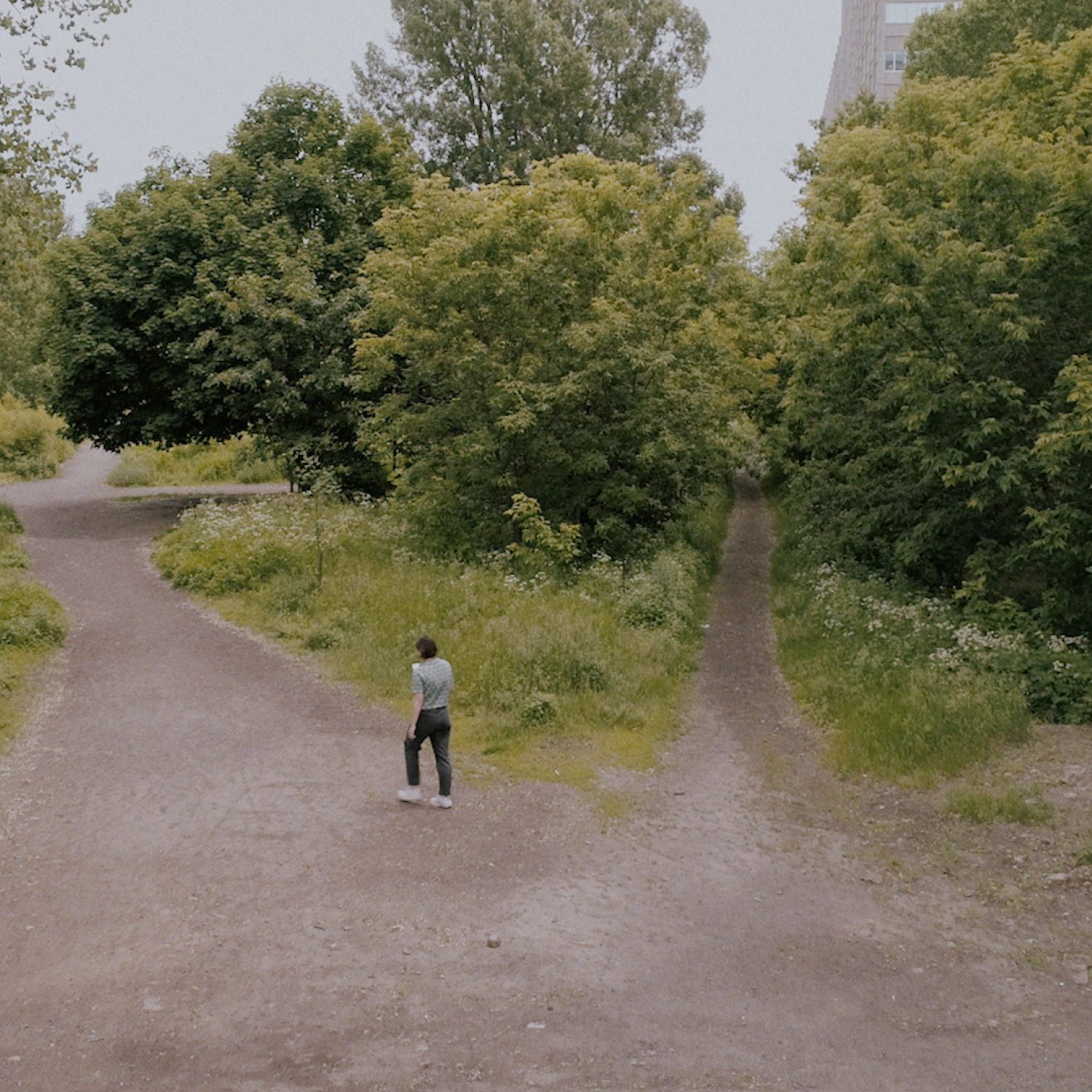 La nouvelle série documentaire de la Société de développement Angus, Lignes de désir