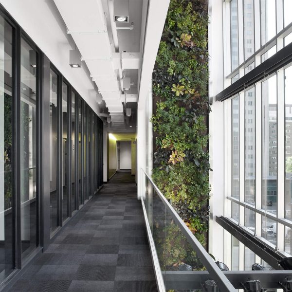 Making Montréal the metropolis of the green and social economy