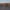 Shutterstock 1384091012