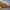 Shutterstock 227442052