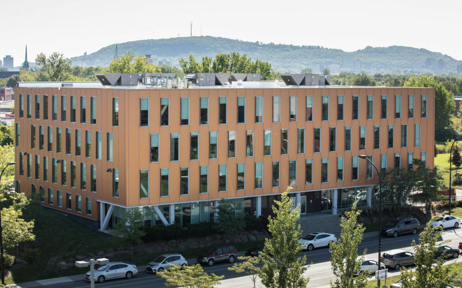 Angus2018c Frédérique Ménard Aubin 692