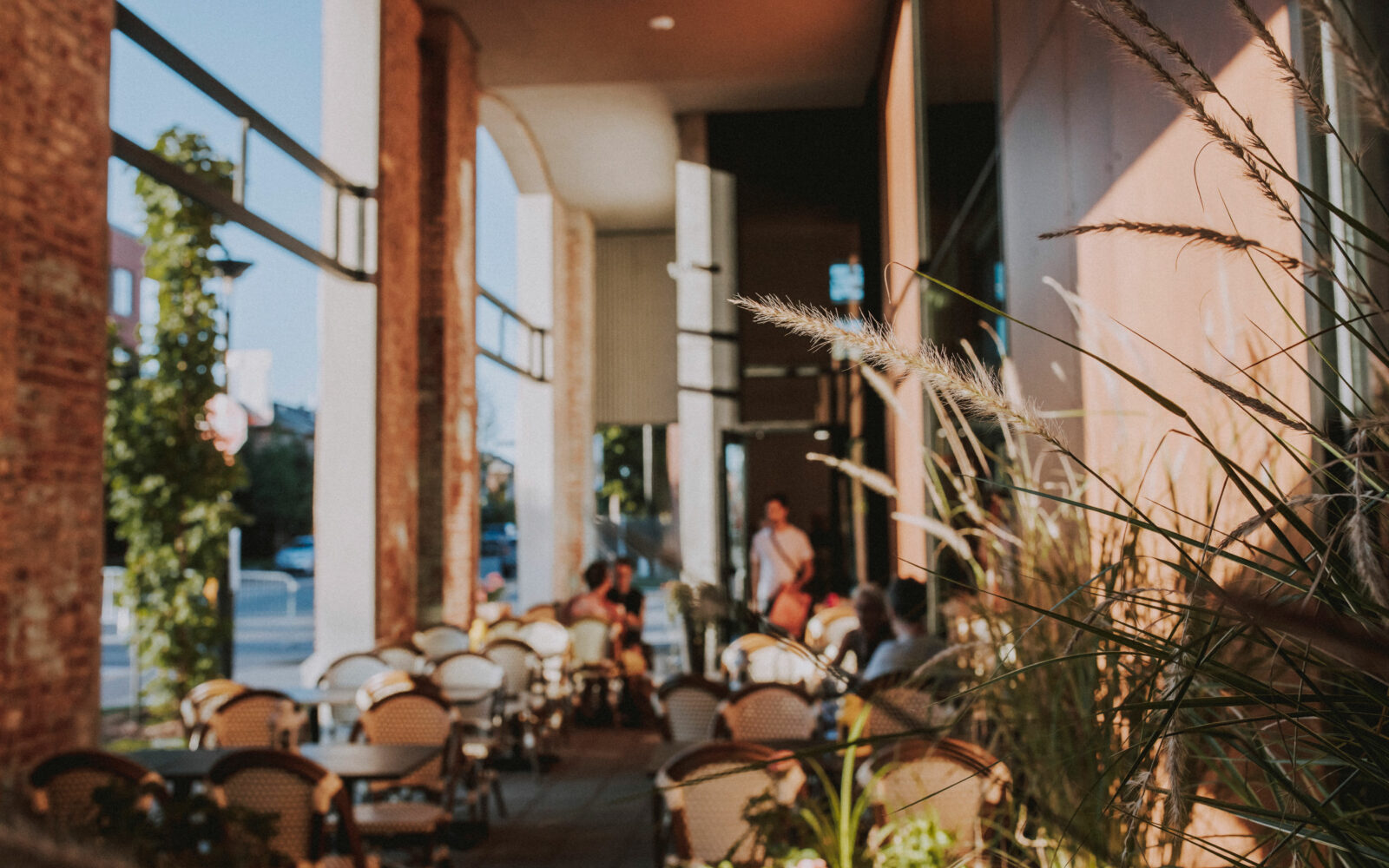 Angus2018c Frédérique Ménard Aubin 805